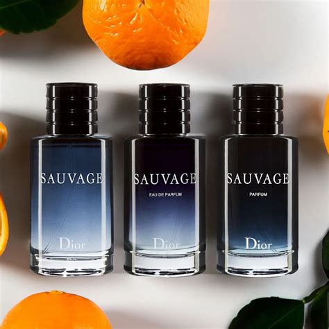 dior sauvage proben|dior sauvage women.